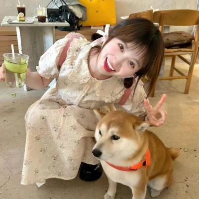 猫狗大战2：珍珠猫复仇