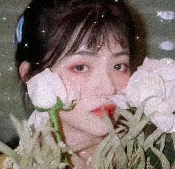 皇家浪漫沙龙